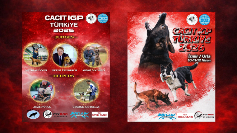 Sosyal Medya Tasarımları