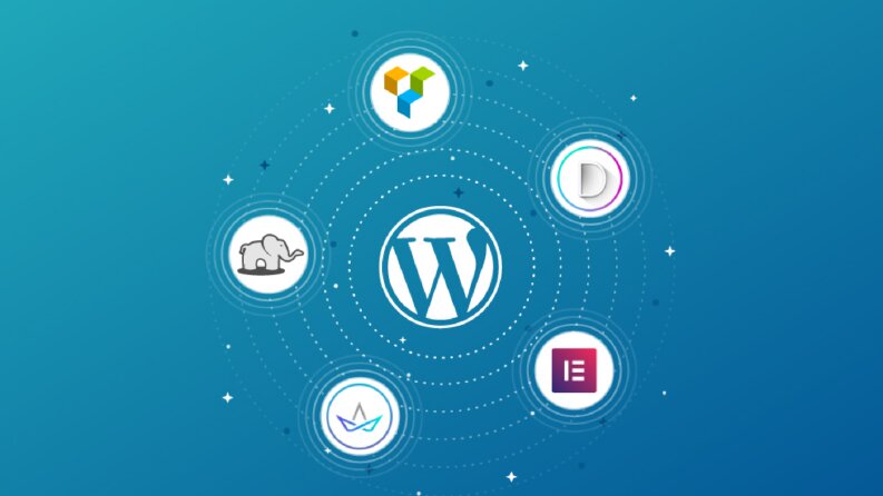 Web Tasarımı Uzmanı