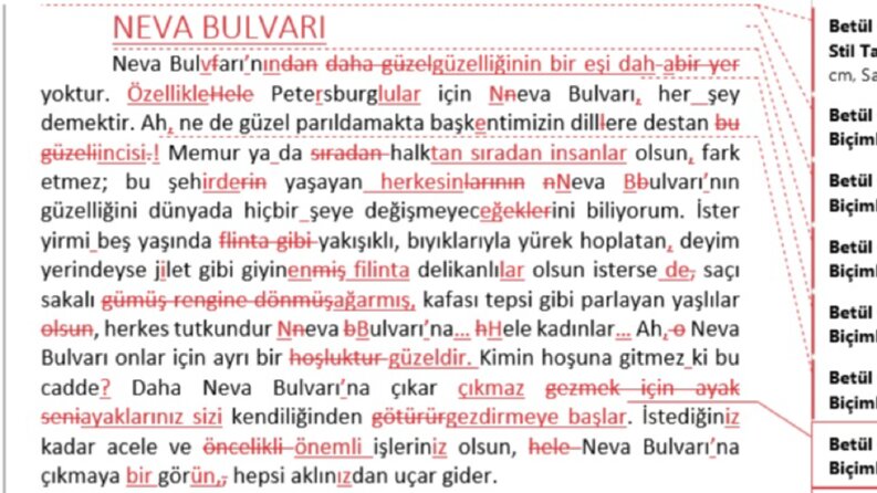 Rusça çeviri kitap metin editörlüğü