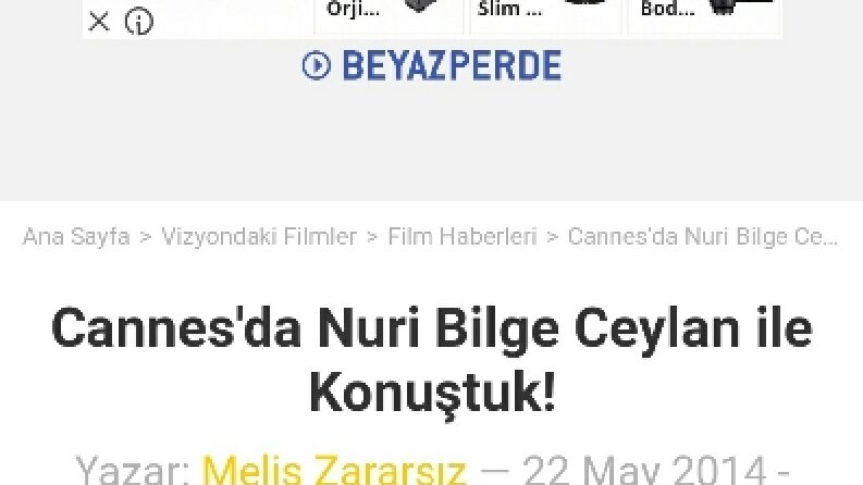 Web içerik editörü
