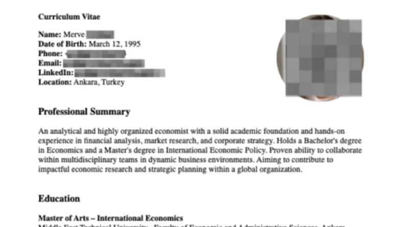 CV Çeviri – Türkçe & İngilizce Çeviri