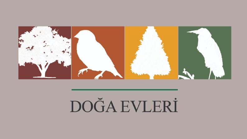 Doğa Evleri - Yaratıcı logo tasarımı - 2024