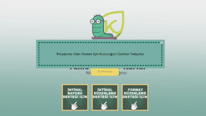 intihalkurdu.com-Web tasarım/Kodlama
