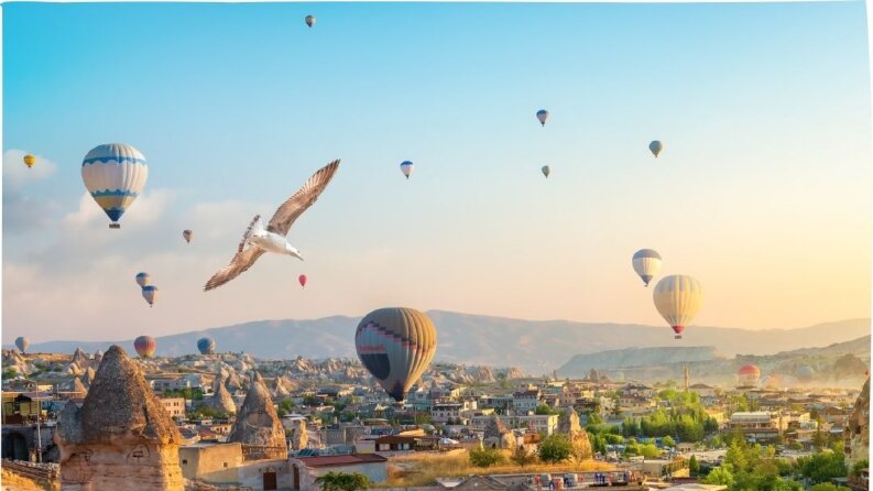  Profesyonel Turizm Kampanya Tasarımı