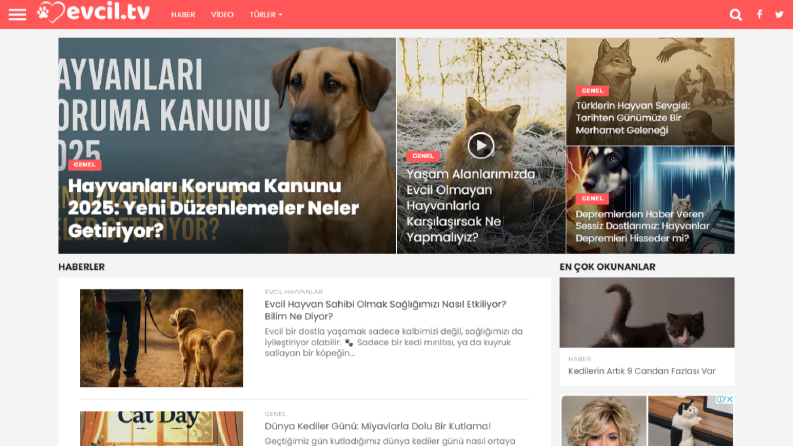 Site Tasarım Hizmetleri