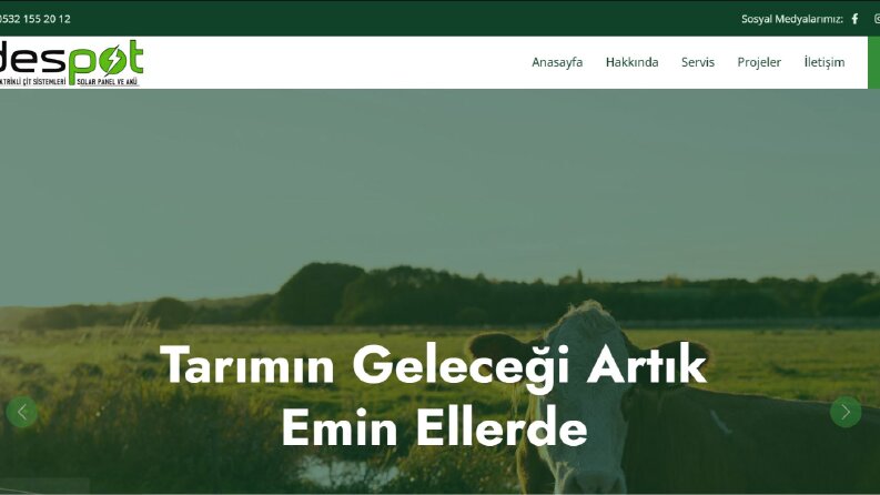 despotzirai.com.tr
