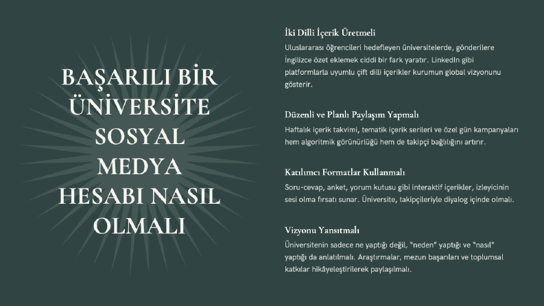 Sosyal Medya Analizi