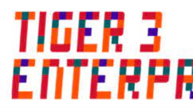 Logo Tiger Özel Çözümler ve Raporlama