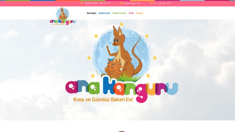 Ana Kanguru Web Tasarımı