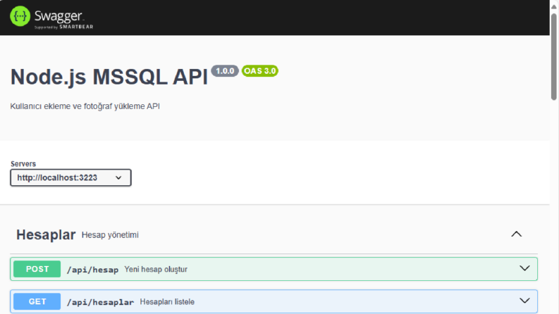 Profesyonel Node.js Geliştirici: API, Web Uygulamaları 