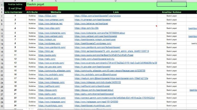 Backlink Çalışması