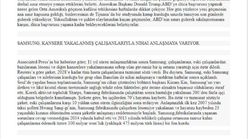 Medya Çevirisi Örneği
