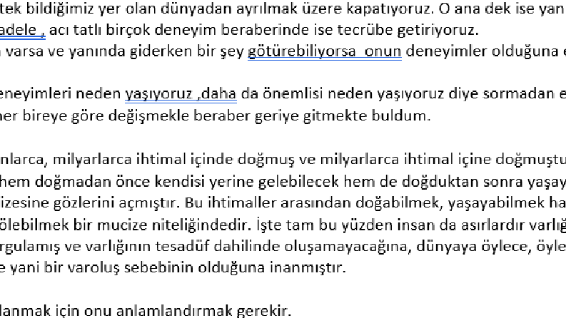 Hayatın Anlamı