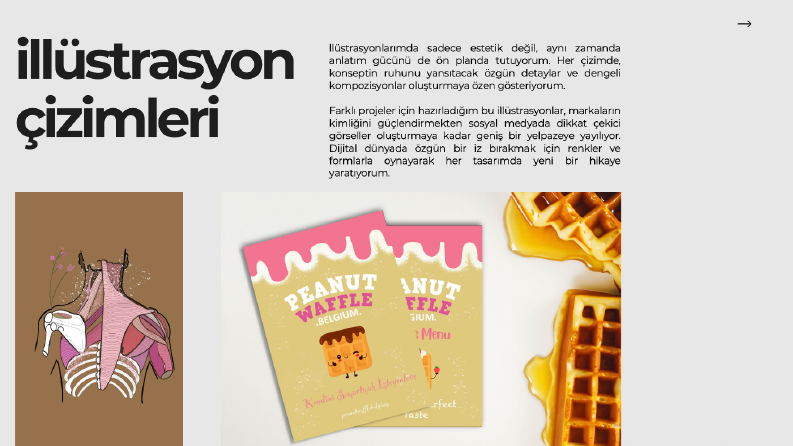 İllüstrasyon Çizimleri