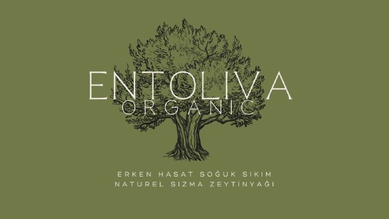 Logo Tasarımlarım