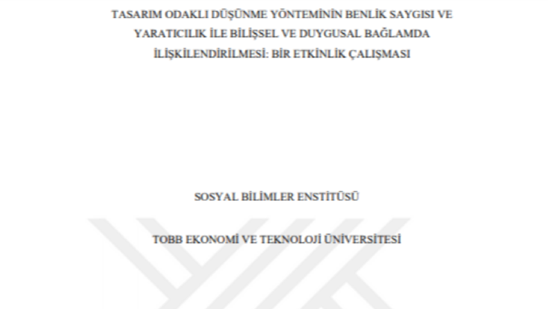 Yüksek Lisans Tezi