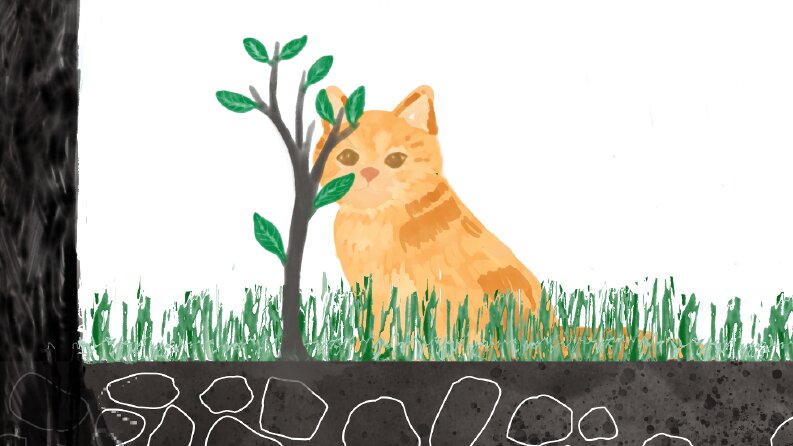 Digital Illustrations and Visual Narratives