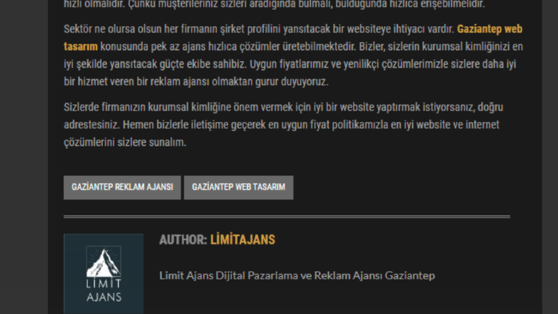 SEO Uyumlu Tanıtım Yazısı