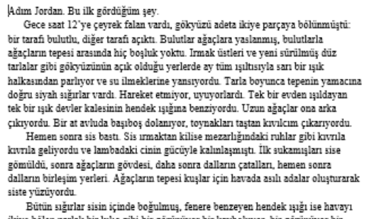 Edebi Metin Çevirisi