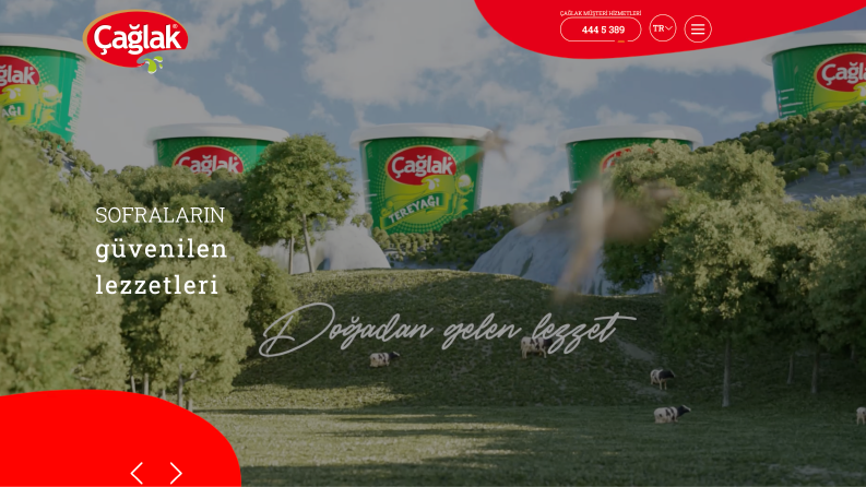 Özel Ticari Firma Tasarımı