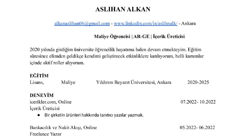 ATS Uyumlu CV
