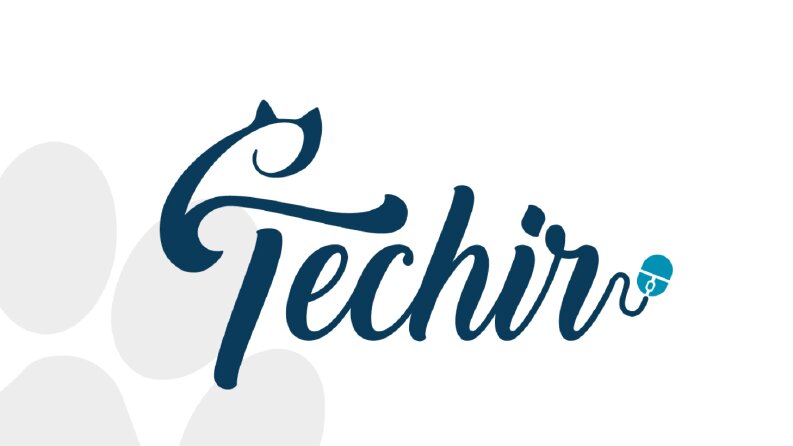 techir logo çalışması
