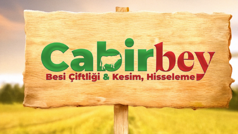Logo Tasarımlarım