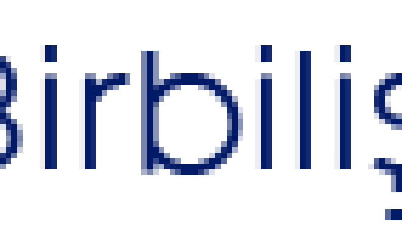Birbilişim Logo