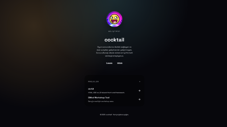 Portfolyo Websitesi