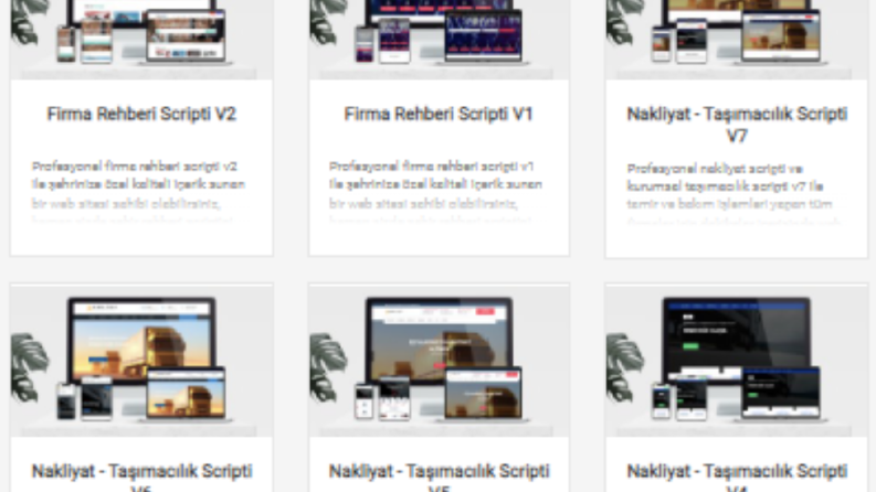 Profesyonel Web Yazılımlar