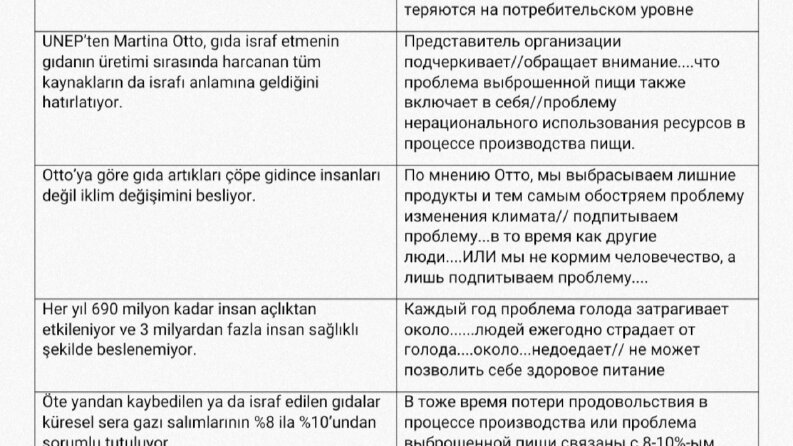 Çevirmen