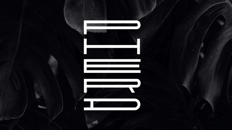 Piera - Ajans Logo Tasarımı