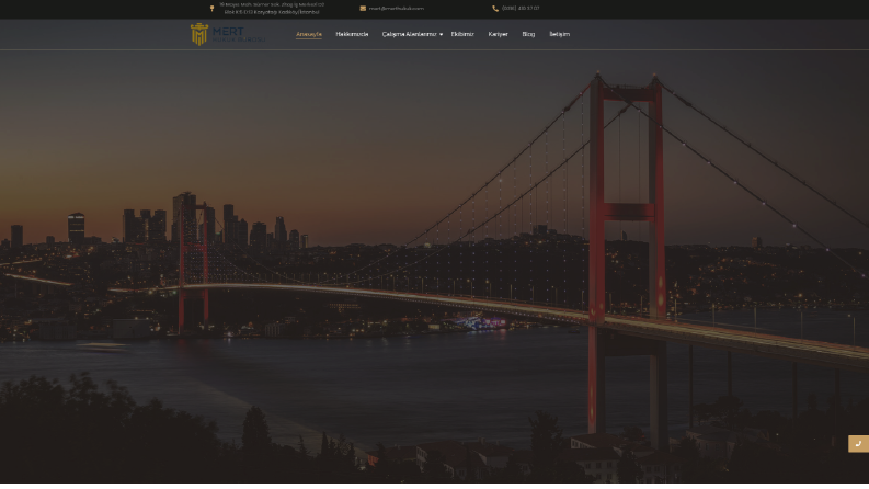 Profesyonel WordPress Geliştirici
