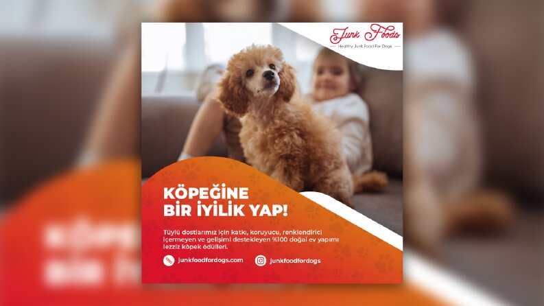 Junk Foods For Dogs