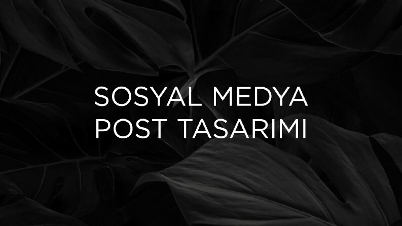 Sosyal Medya Postu