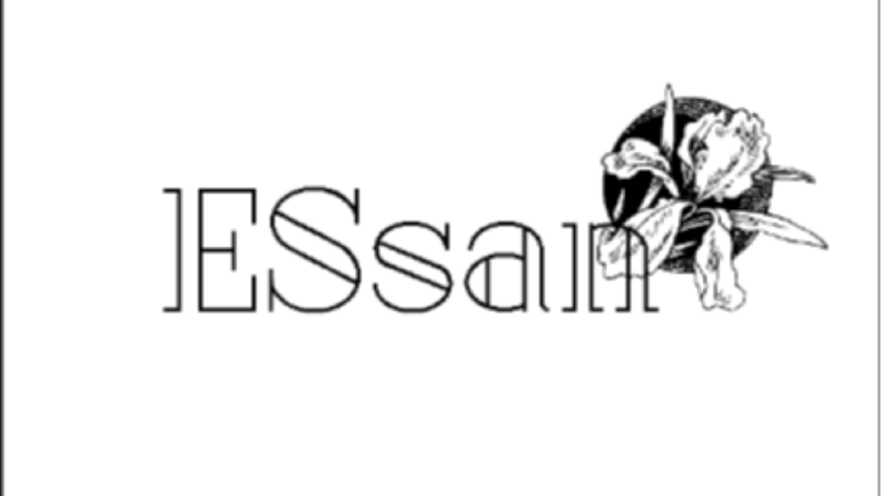 essan 