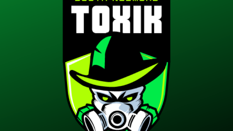 LOGO TASARIMLARI