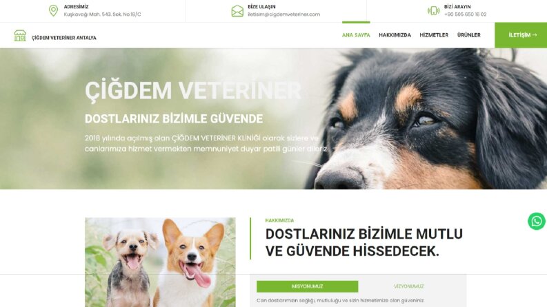 Veteriner Web sitesi - cigdemveteriner.com