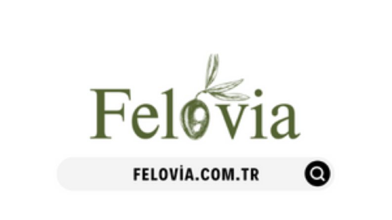 Felovia - Güvenlik, tasarım çalışmaları