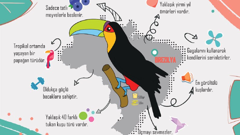 İnfografik Tasarımlarım