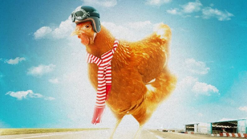 Pilot Chicken