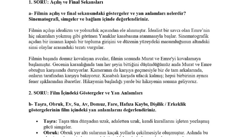 Akademik Film Analizi ve Göstergebilimsel Çözümleme Örnekler