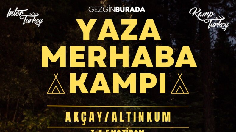 Organizasyon Tasarımı