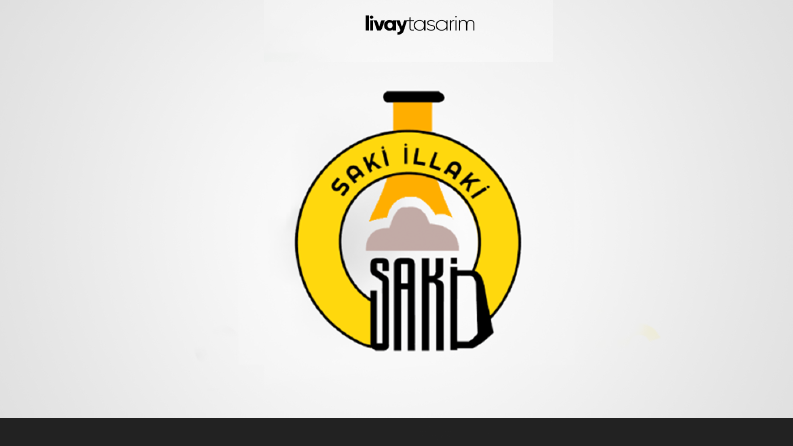 Logo Örneği
