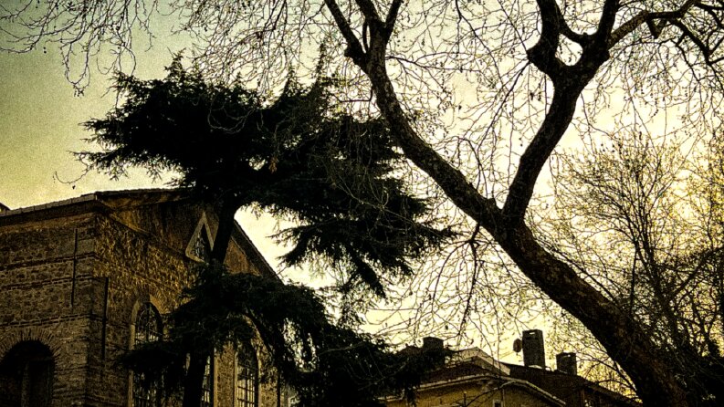Fotoğraf Düzenleme
