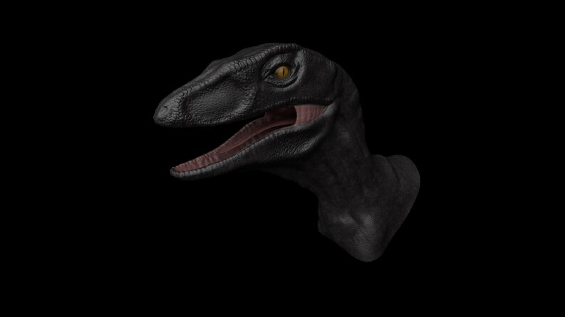 3D Raptor (High Poly)