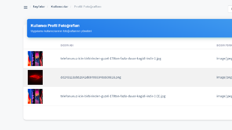 Admin Panel