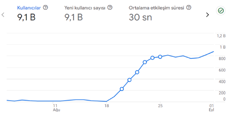 Google Analytics Verileri