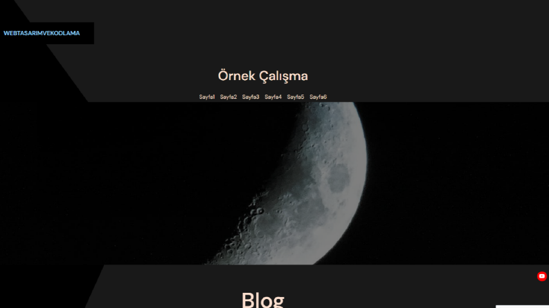 Wordpress Canavarı