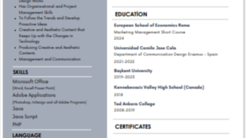 ingilizce cv